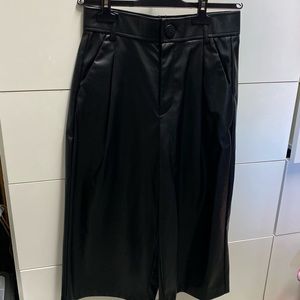 Zara Leather Pants